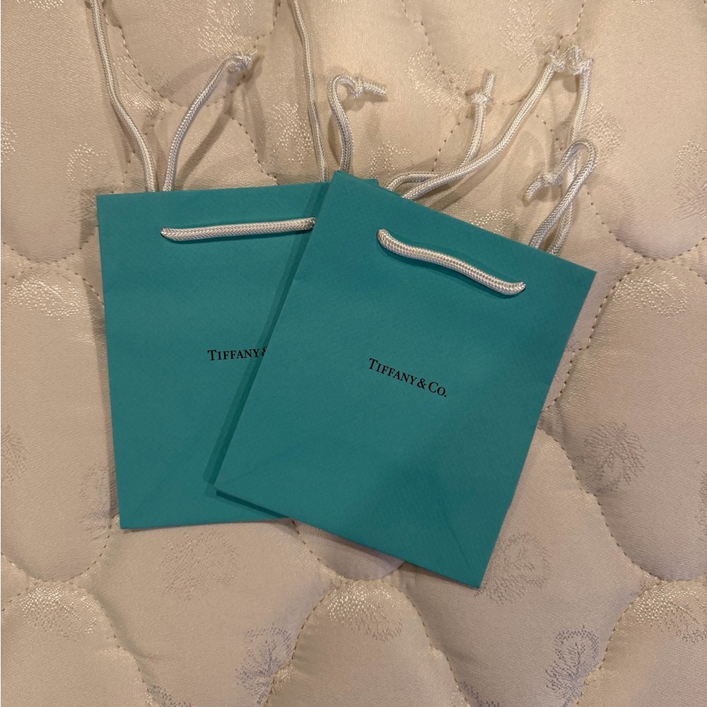 Tiffany & Co. Gift Bags